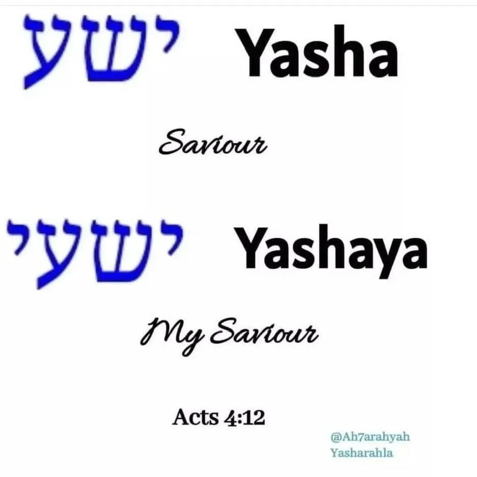 Yasha Yashaya